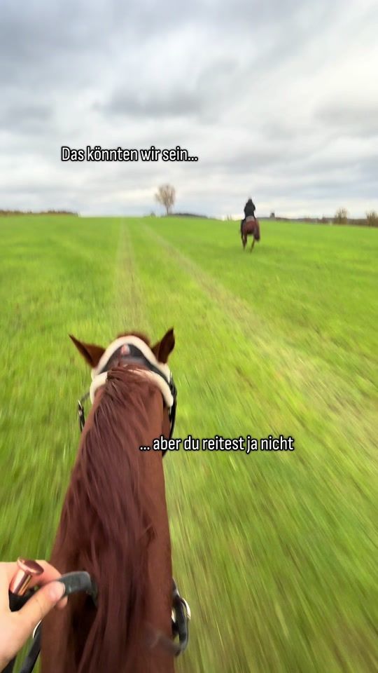 TikTok video thumbnail by steffis.realpetlife