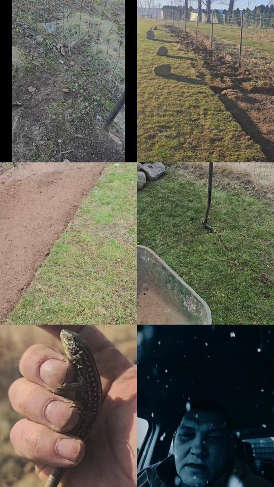 TikTok video thumbnail by artisteivans