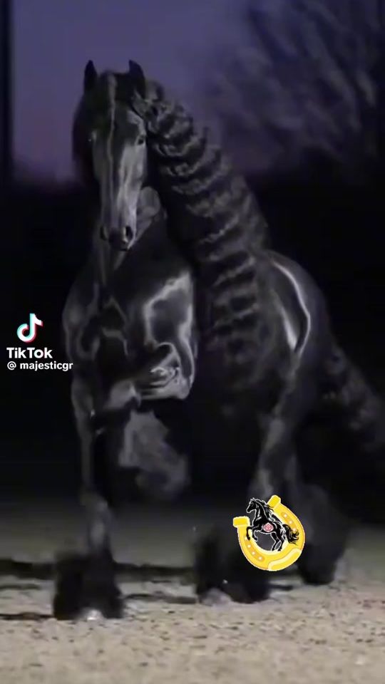 TikTok video thumbnail by erosequestre