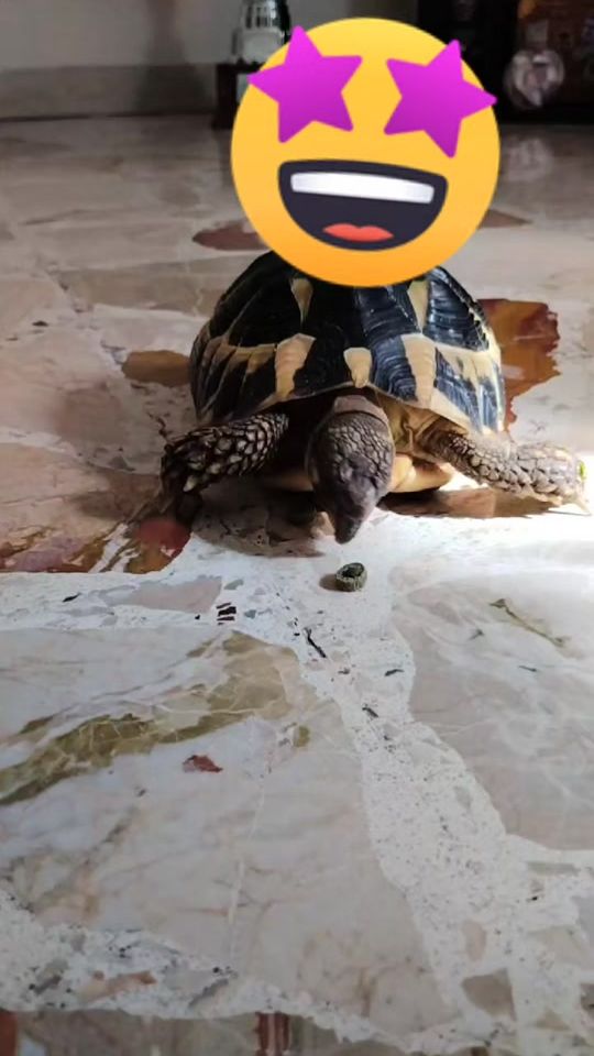TikTok video thumbnail by santo.caruso5