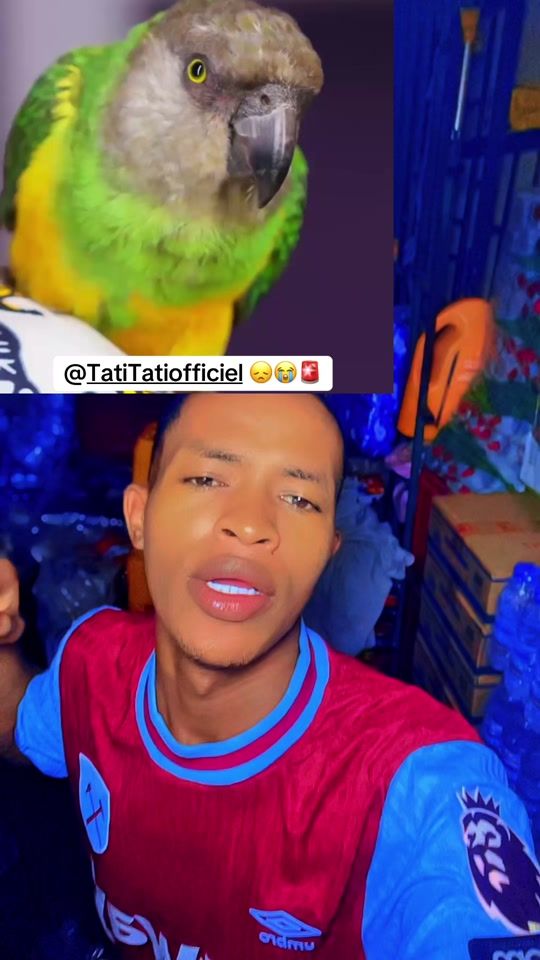 TikTok video thumbnail by dimoh_vision