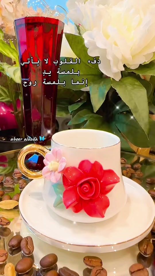 TikTok video thumbnail by abeer.alaoda