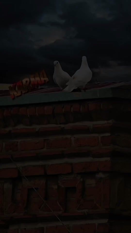 TikTok video thumbnail by lil__miku7