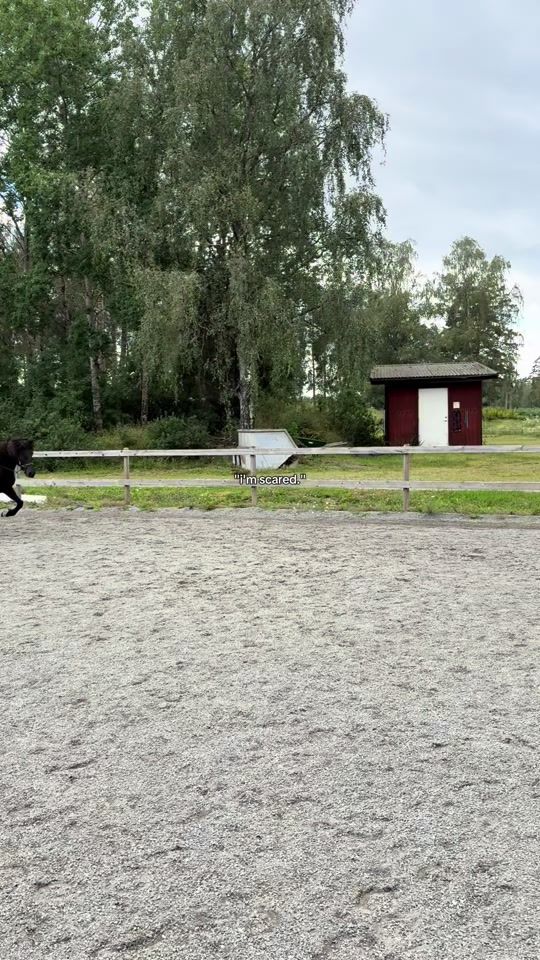 TikTok video thumbnail by elise.leiri.uggi