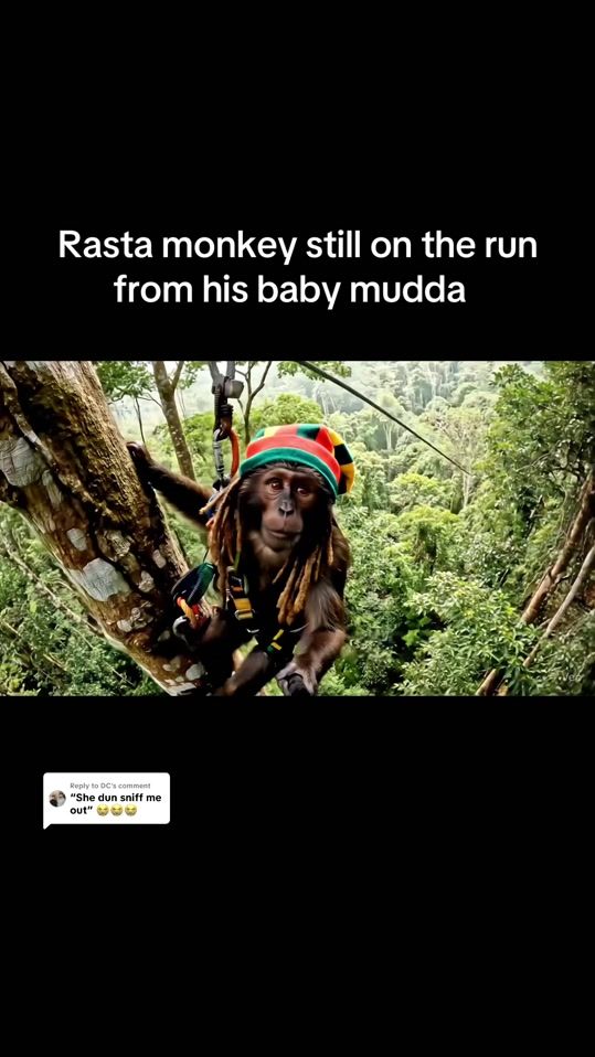 TikTok video thumbnail by rastamonkey