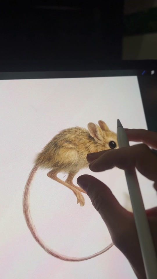 TikTok video thumbnail by togothejerboa