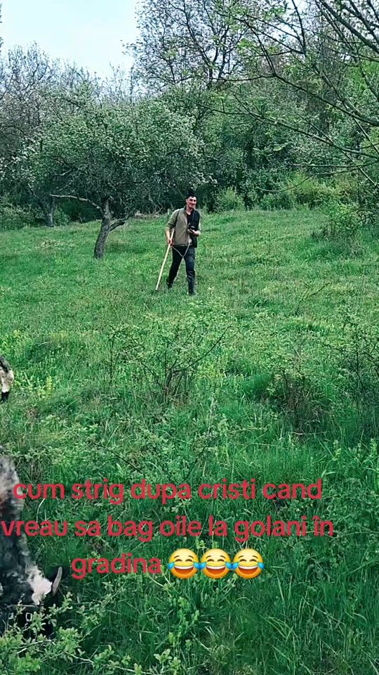 TikTok video thumbnail by geoana.oi