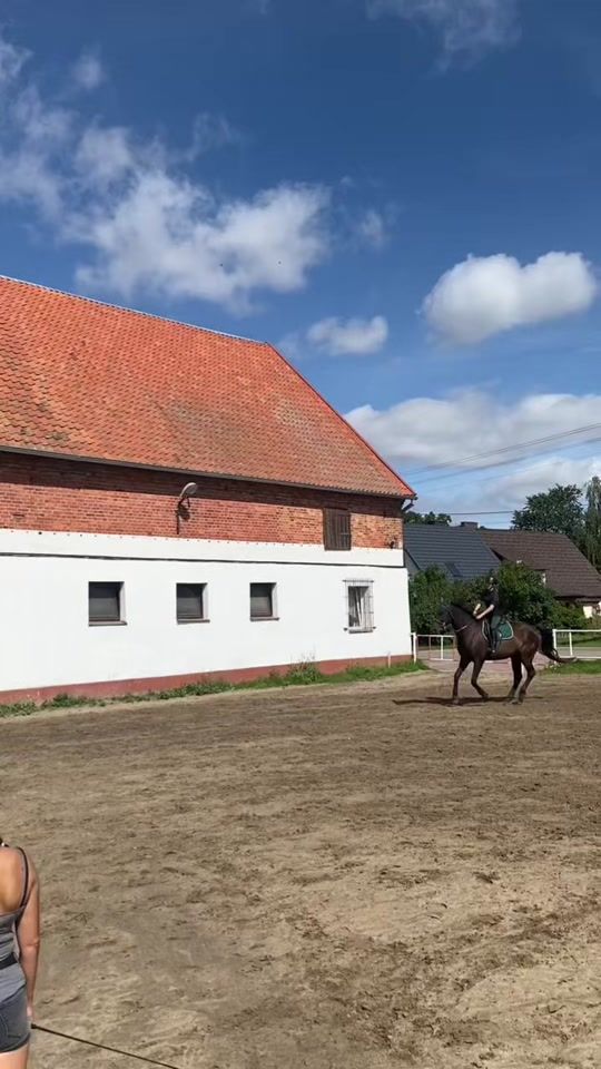 TikTok video thumbnail by equestrian_klosinska_n