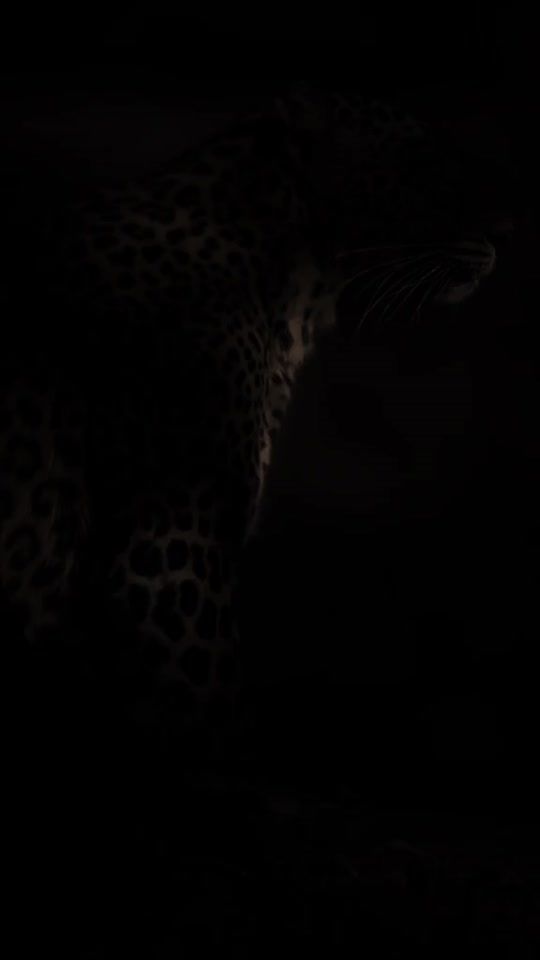 TikTok video thumbnail by motivationabo