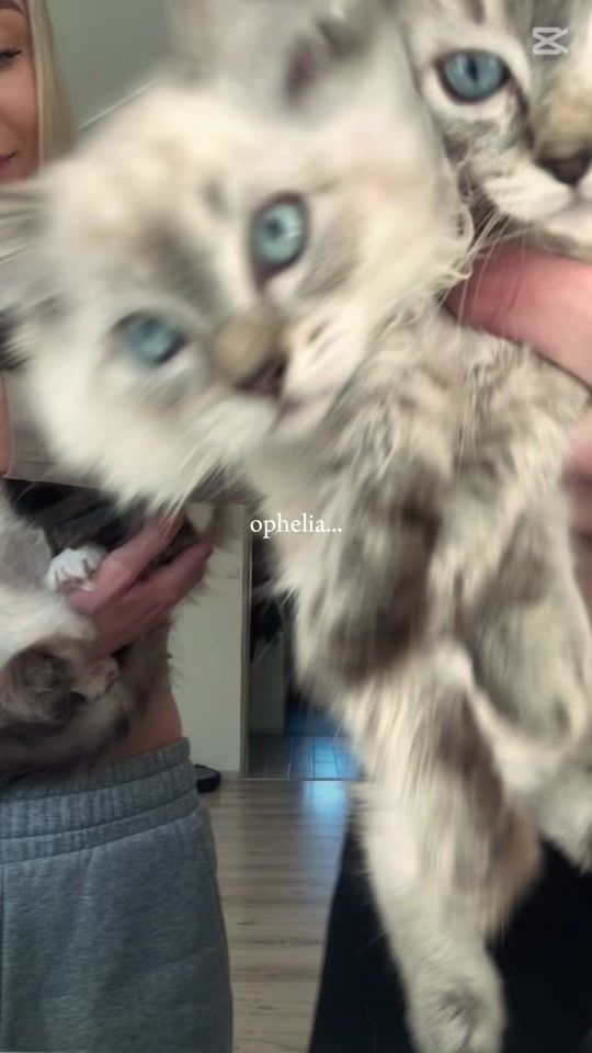 TikTok video thumbnail by _mlok240