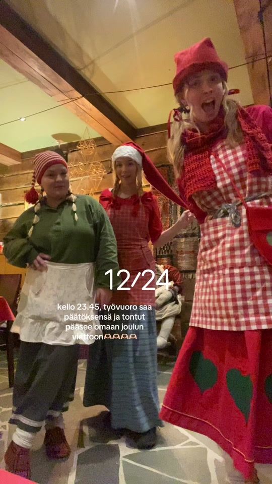 TikTok video thumbnail by niittyviitarosa