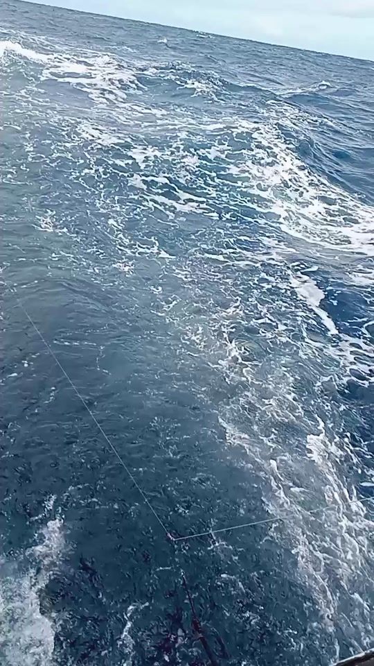 TikTok video thumbnail by jamil.may.d.thiare