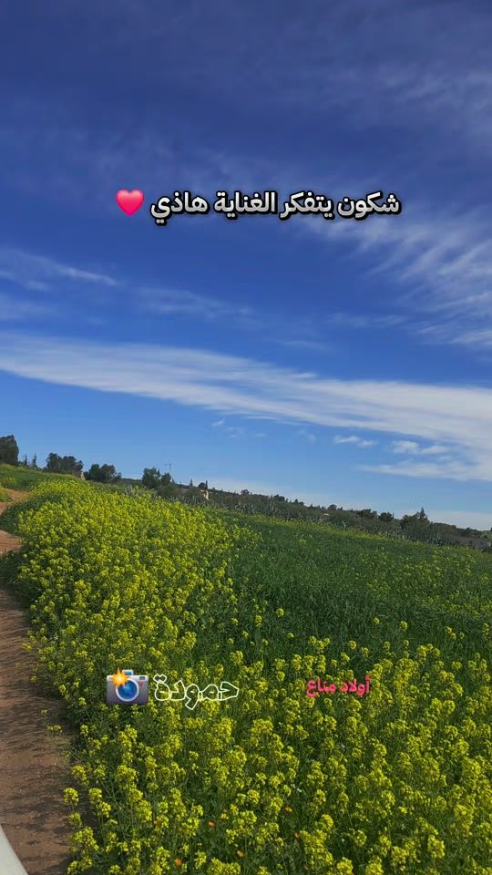 TikTok video thumbnail by ahmedmanai26