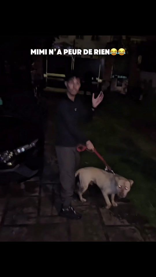 TikTok video thumbnail by kiara.rediff