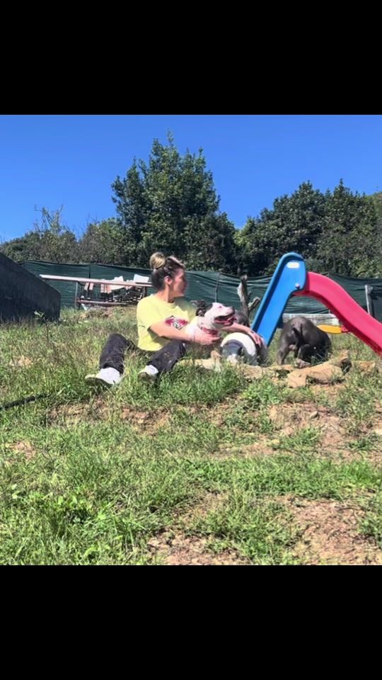 TikTok video thumbnail by florianacalogero