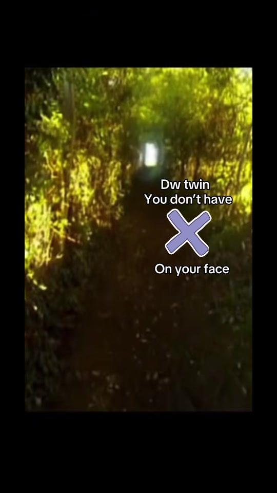 TikTok video thumbnail by vanillafunfetti6