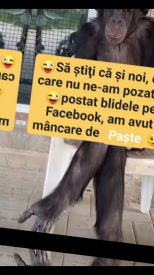 TikTok video thumbnail by brandbutic