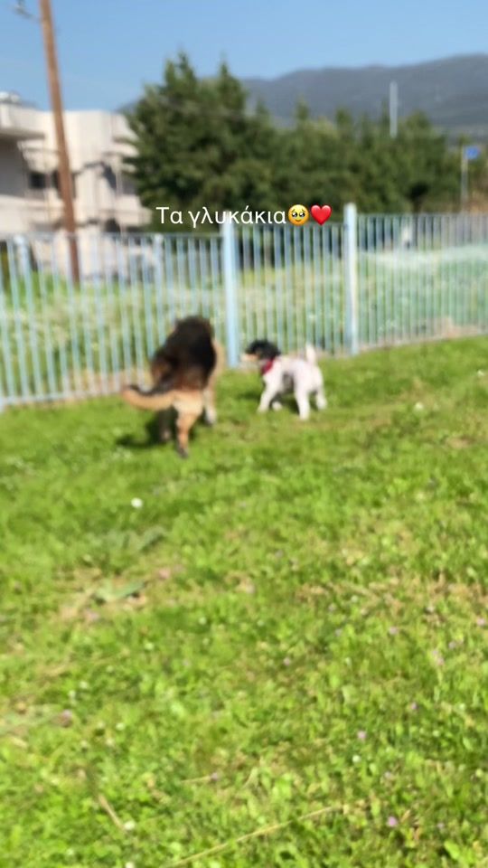 TikTok video thumbnail by toniatsalta