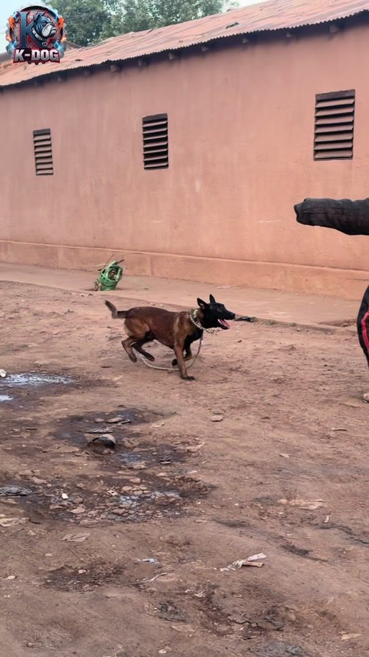 TikTok video thumbnail by aboubacarkeita1740