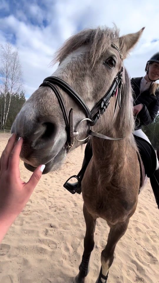 TikTok video thumbnail by user.not.found.4042