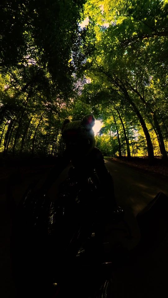 TikTok video thumbnail by gardolim80