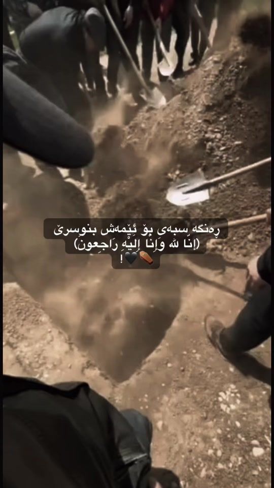 TikTok video thumbnail by sad___petals
