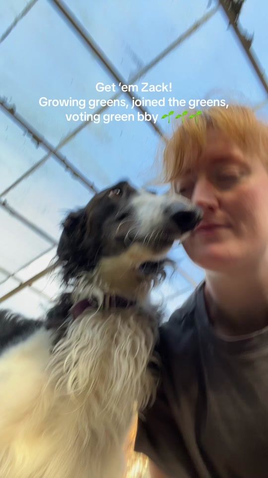TikTok video thumbnail by verdeflowerco