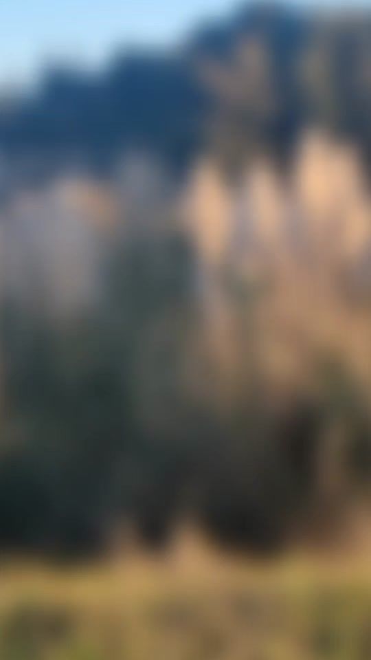 TikTok video thumbnail by geo..56