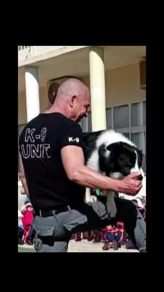 TikTok video thumbnail by iancuschieri