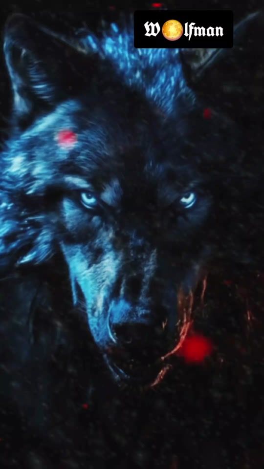 TikTok video thumbnail by lavocediwolfman