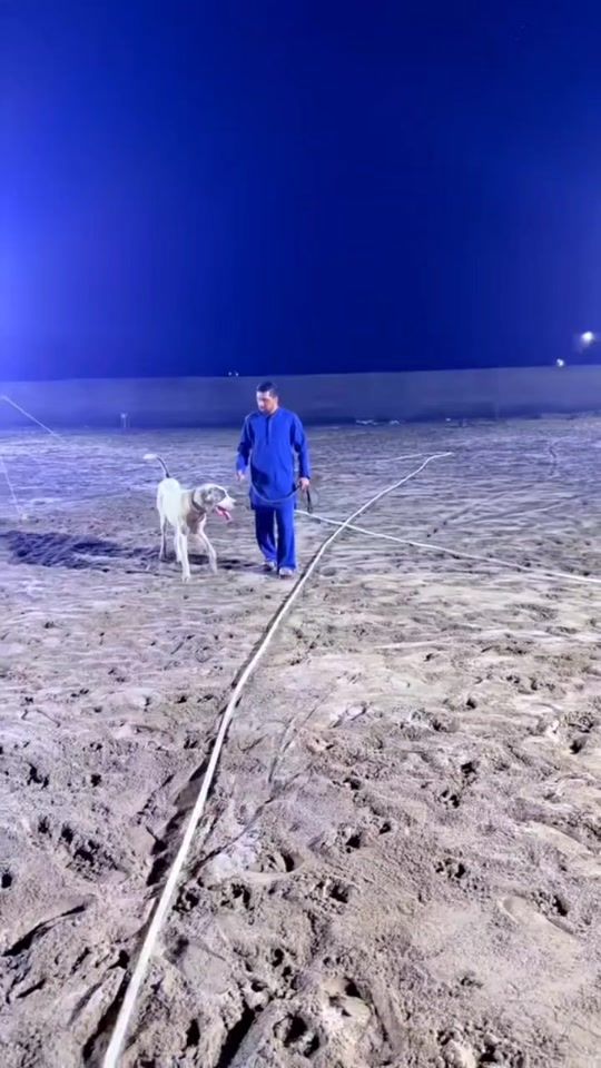 TikTok video thumbnail by pattloking9
