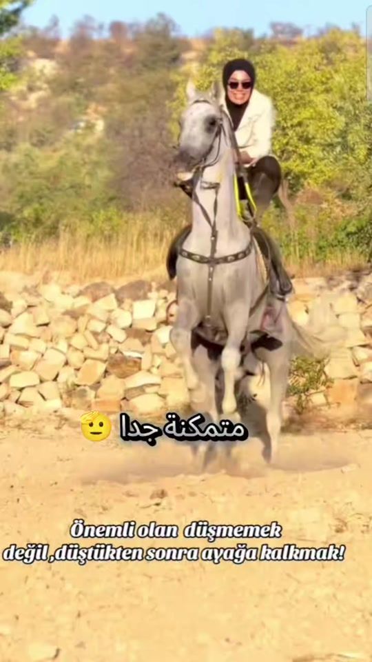 TikTok video thumbnail by horses.women