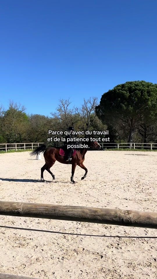 TikTok video thumbnail by equi_nono