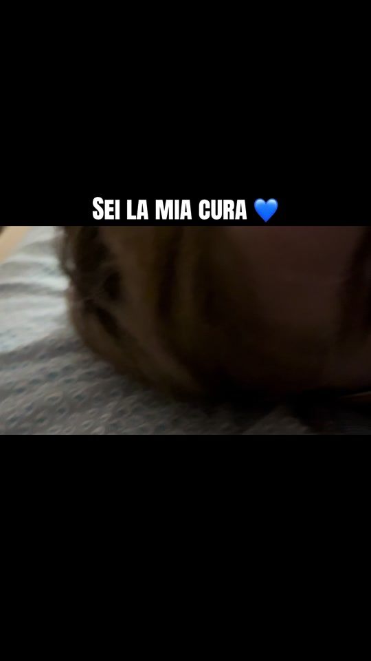 TikTok video thumbnail by linofarraco_