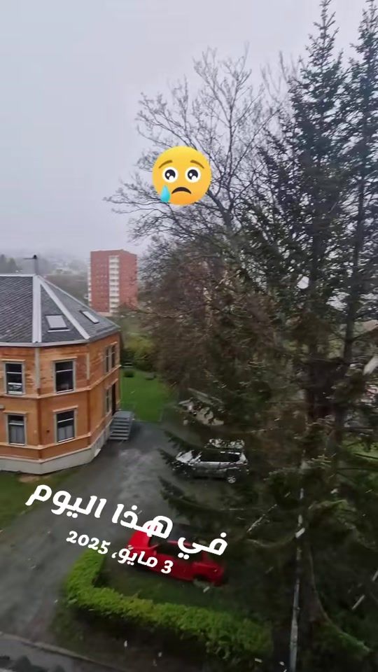 TikTok video thumbnail by mounaomabdo