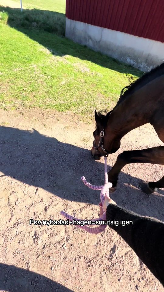 TikTok video thumbnail by hege_karin