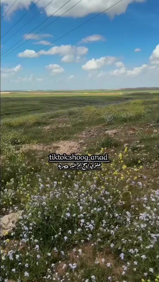 TikTok video thumbnail by shoog_anad