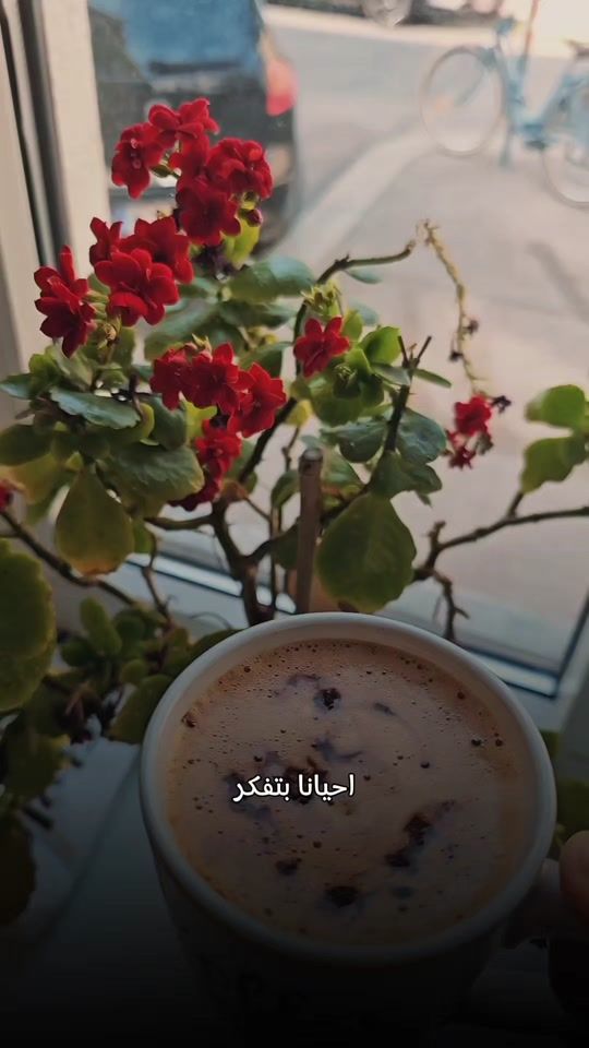 TikTok video thumbnail by ghaliasyr