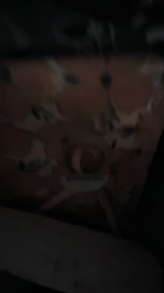 TikTok video thumbnail by swedishhammerdad