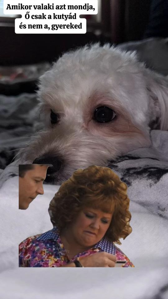 TikTok video thumbnail by daisy_puppy1