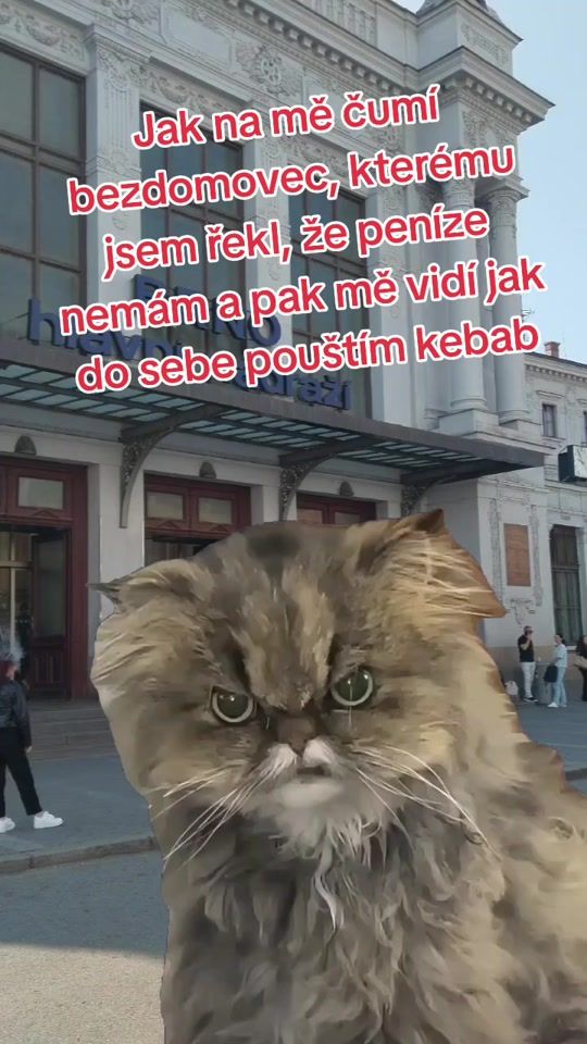 TikTok video thumbnail by technikfauna_oficial
