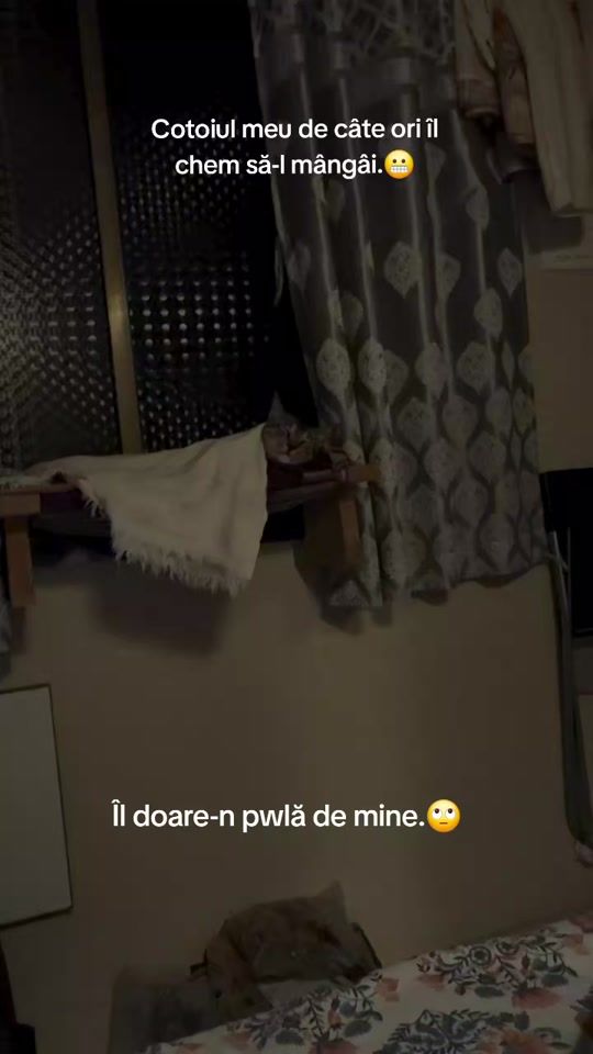 TikTok video thumbnail by cyb3r_dreams