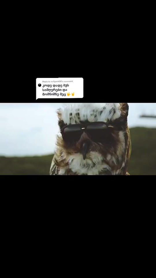TikTok video thumbnail by georgian_raphiphop