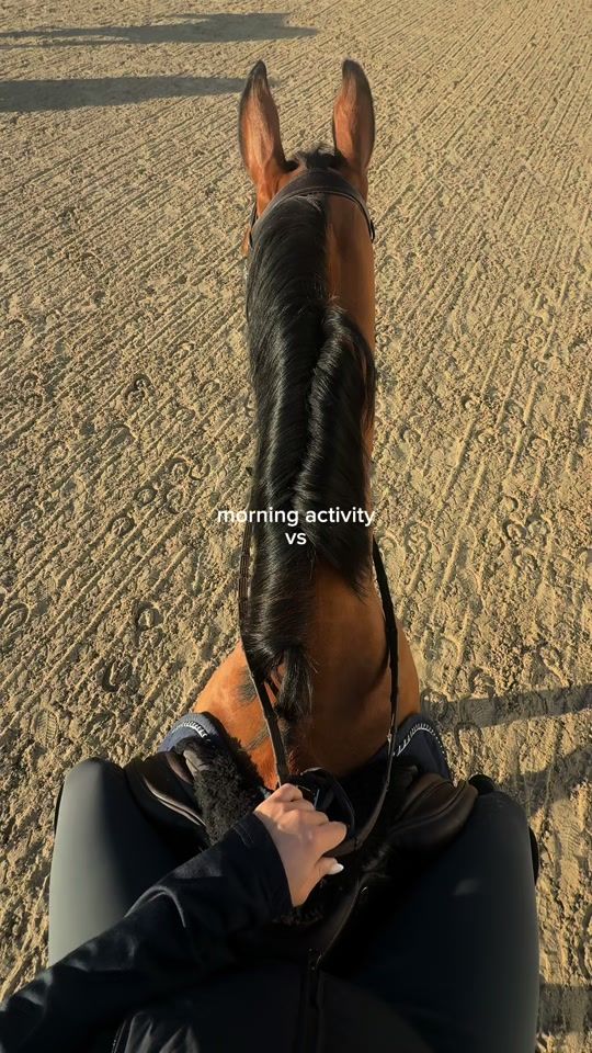 TikTok video thumbnail by sofie.najmanova