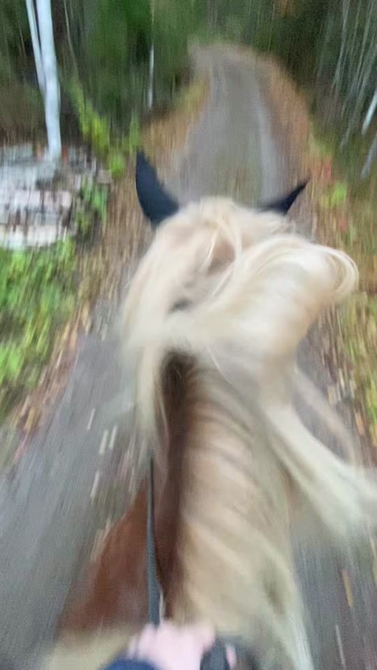 TikTok video thumbnail by via.kivisto