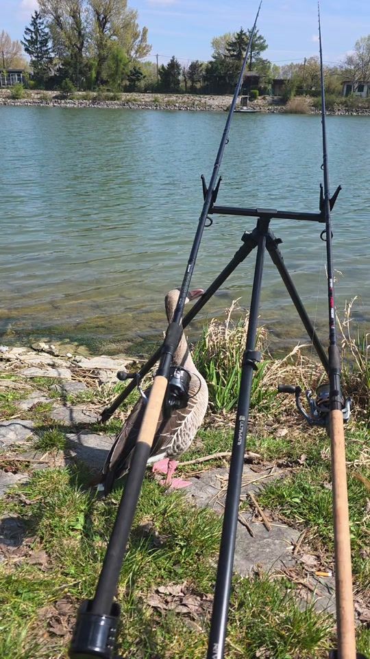 TikTok video thumbnail by fishing.austria1