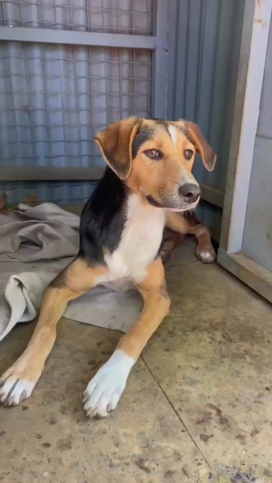 TikTok video thumbnail by indiesworld