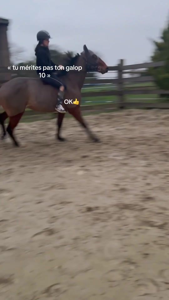 TikTok video thumbnail by leaideo