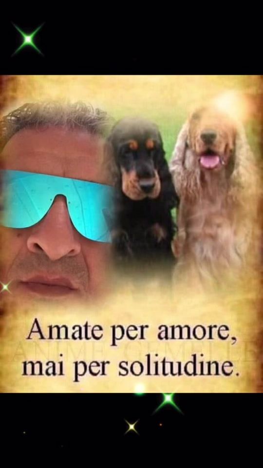 TikTok video thumbnail by raffaelesarno5