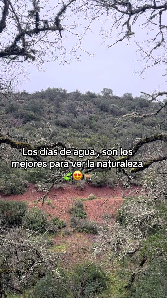 TikTok video thumbnail by josemanuel7976_